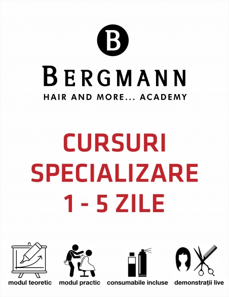 Cursuri Bergmann Hair Academy